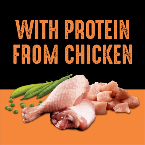 CRAVE™ Dog Food Dry Adult Protein Grain Free, Chicken image 1