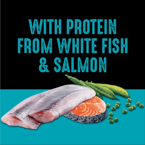 CRAVE™ Dog Food Dry Adult Protein Grain Free, White Fish & Salmon image 1